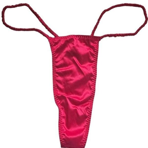 SKims woven shine panty Nwt - Picture 1 of 9